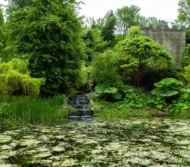 A serene garden scene at Malahide Castle features a small waterfall cascading into a pond covered in lily pads. Surrounded by lush green trees and plants, an ancient stone structure stands in the background, partially hidden among the foliage.