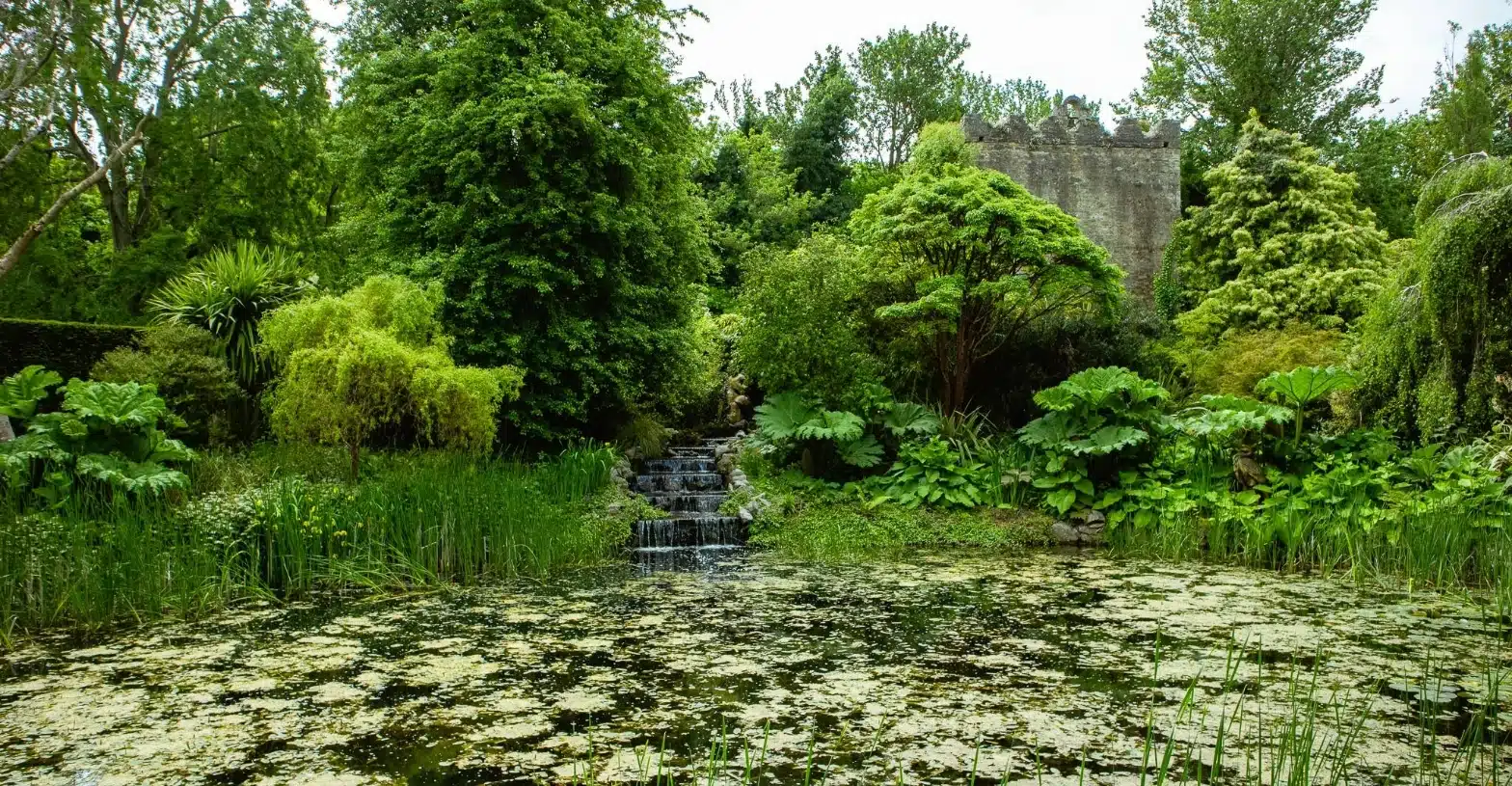 A serene garden scene at Malahide Castle features a small waterfall cascading into a pond covered in lily pads. Surrounded by lush green trees and plants, an ancient stone structure stands in the background, partially hidden among the foliage.