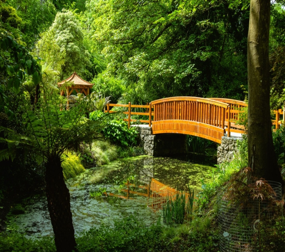 A serene garden scene near Malahide Castle features a wooden bridge over a small pond surrounded by lush green foliage. A gazebo peeks through the dense trees, while sunlight filters through the canopy, creating dappled light on the water.