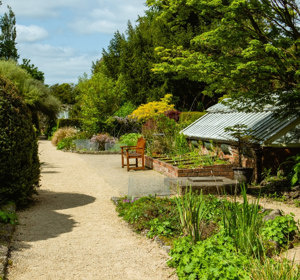 Sunlight dapples the gravel path winding through lush greenery in the serene garden, reminiscent of the tranquility at Malahide Castle. A wooden bench beside raised beds brimming with plants offers a peaceful spot. To the right, a large greenhouse with a slanted roof peeks through.