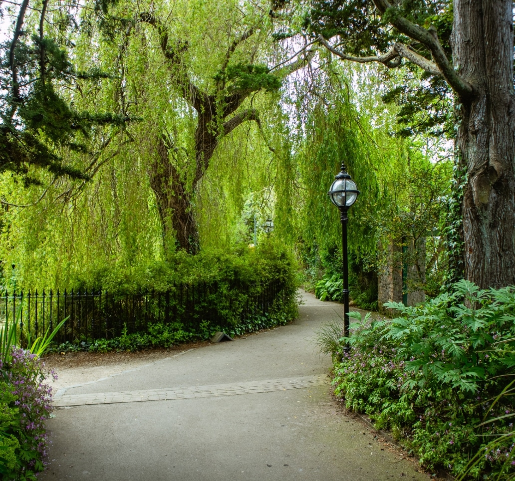 A scenic path in Malahide Castle park is surrounded by lush greenery and large trees. A black lantern stands along the path, and a wooden fence lines the walkway. The scene conveys a peaceful, natural environment.