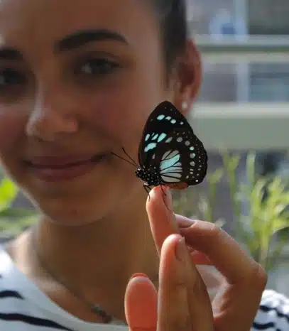 A person holds a butterfly on their finger at Malahide Castle. The butterfly's black wings, adorned with bright blue and white spots, contrast beautifully with the softly blurred background as the person smiles slightly.