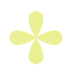 A simple light yellow four-petaled flower reminiscent of the blooms found in the gardens of Malahide Castle, set against a pristine white background.