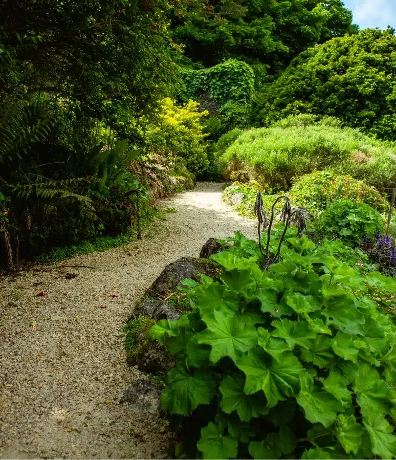 A winding gravel path leads through a lush, green garden at Malahide Castle, filled with various plants and shrubs. Sunlight filters through the foliage, creating a serene and inviting atmosphere.