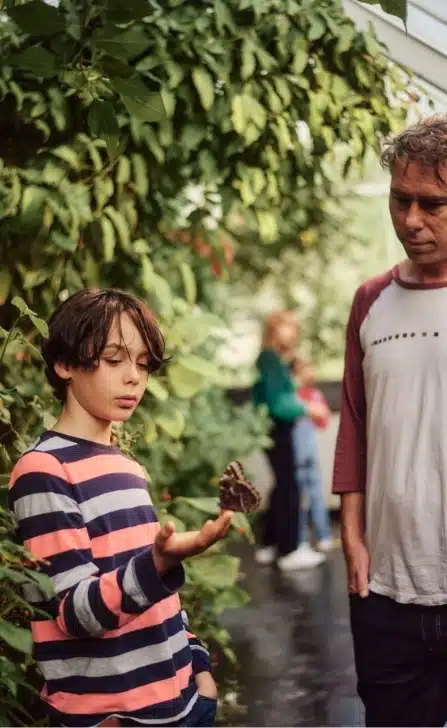 A boy in a striped shirt holds a butterfly on his hand, looking at it intently. An adult stands nearby, observing. The scene unfolds amidst lush green plants and the blurred figure of Malahide Castle gleams softly in the conservatory setting.