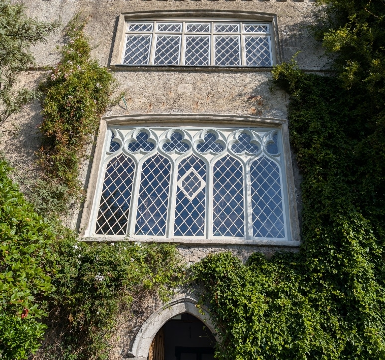 The stone façade of Malahide Castle boasts large, ornate windows with intricate lattice designs. Green ivy and climbing plants partially cover the structure, lending a natural touch to its historical charm.