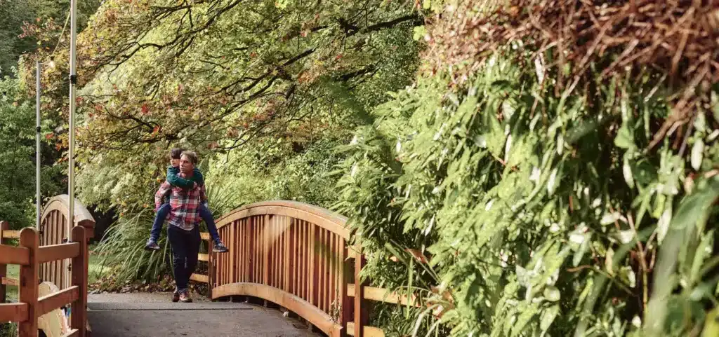 A person strolls along a wooden bridge surrounded by the lush green foliage of Malahide Castle's grounds. The trees on the left display a mix of green and brown leaves, hinting at early autumn. The atmosphere is serene and nature-focused.