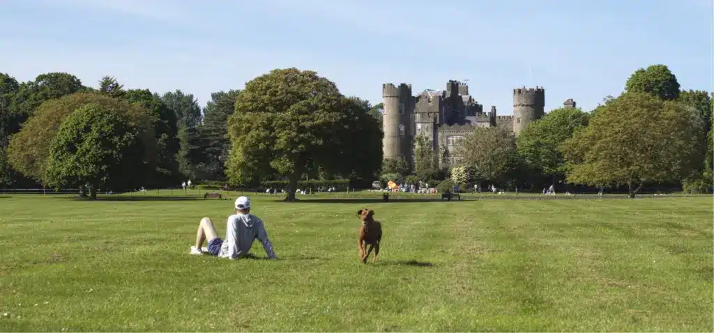 A person relaxes on a grassy field near Malahide Castle, with a dog joyfully running nearby. In the background, the grand stone structure is surrounded by trees under a clear blue sky.