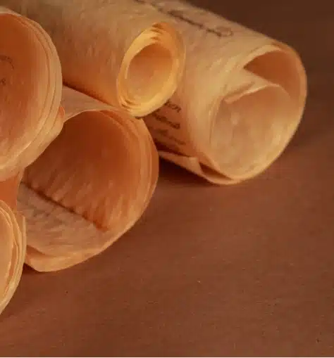 Close-up of aged, curled parchment scrolls on a brown background, reminiscent of the historical manuscripts once housed in Malahide Castle. The scrolls are partially unrolled, revealing a textured surface with faint, faded inscriptions. The warm tones evoke a rustic, antique charm in the composition.