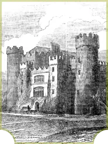 Illustration of a medieval stone castle with tall towers and battlements. There are lush vines on the walls, and a horse-drawn carriage is visible in front. A cloudy sky forms the backdrop.