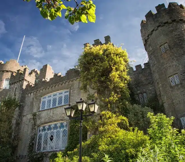 A majestic stone castle with cylindrical towers, reminiscent of Malahide Castle, stands proudly against a blue sky. Sunlight highlights its detailed architecture, overgrown with ivy and surrounded by lush greenery. A streetlamp is visible in the foreground.