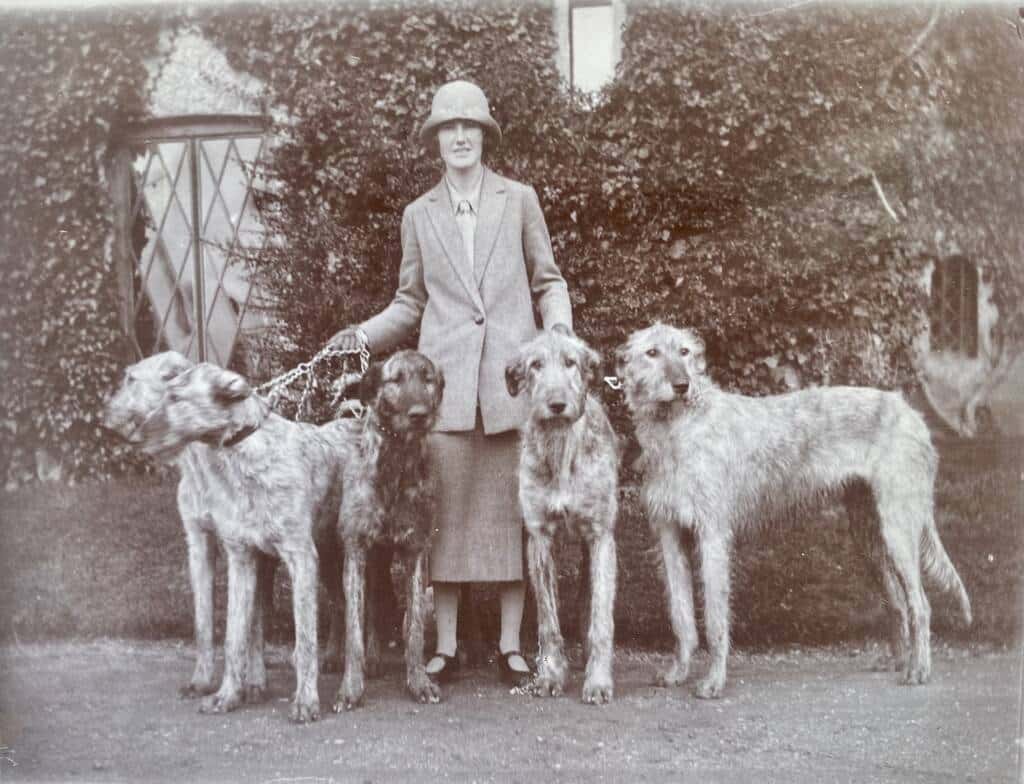 A woman in a cloche hat and suit stands outside in front of ivy-covered walls, holding four large, shaggy Irish Wolfhounds on leashes—ready for The Hunt Dinner Party.
