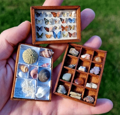 A hand holds three small wooden display cases with miniature collections—one featuring butterflies, another with shells and sea items, and a third with colourful rocks and minerals—perfect for celebrating National Heritage Week. Grass is visible in the background.