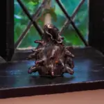 Small, dark, spiky ceramic sculpture sits on a black windowsill in front of a window with diamond-shaped panes and green foliage visible outside, evoking the mysterious atmosphere of A Treacherous Tale.