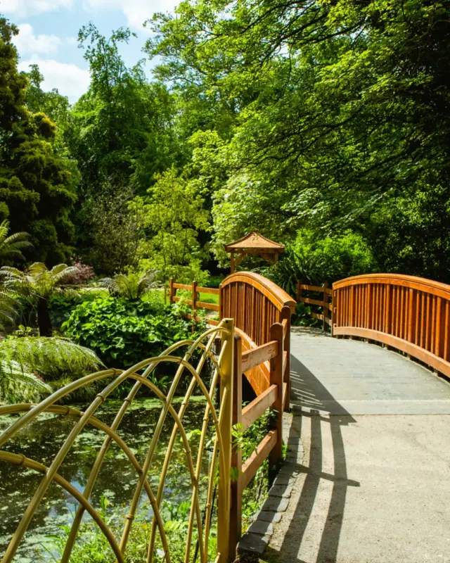 A hidden gem tucked away in the West Lawn 🌿

Wander a little further and you’ll find this peaceful spot - a perfect place to pause and take it all in.

📍Plan your visit this weekend: https://malahidecastleandgardens.ie/plan-your-visit/

#MalahideCastleGardens #HiddenGem #WestLawn #SecretSpots #VisitDublin #GardenWanderings #NatureEscape