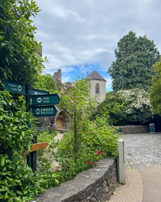 Castles and fairies? Yes, please! 👑🧚‍♂️🍄

#MagicMoments #DiscoverDublin #MalahideCastle #FairyTrail #IrelandTravel #HiddenGems #VisitDublin #LoveMalahide