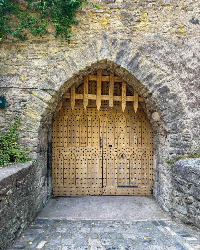 ✨ One of the many Instagrammable corners you’ll find at Malahide Castle 🏰📸

#MalahideCastle #DiscoverIreland #InstaIreland #CastleLife #HistoricIreland #VisitDublin #HiddenGems #CastleDoors #IrelandTravel #TravelInspo #VisitDublin