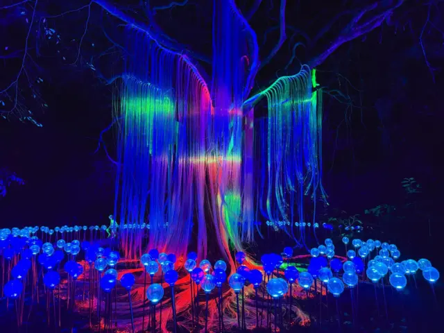 ✨ Last chance to experience the magic of Wonderlights ✨

The countdown is on ⏳

Wonderlights finishes on the 2nd of Janaury, and there are only a few nights left to wander through illuminated trails 🌟, glowing forests 🌳✨ and unforgettable light displays 💫

Don’t miss out - book now before it’s gone 🎟️✨ 👉 https://www.wonderlights.ie/malahide-castle

#Wonderlights #LastChance #FestiveNights #ChristmasMagic #LightTrail #FamilyFun #WinterEvents #ThingsToDoDublin #MagicalMoments #MalahideCastleAndGardens