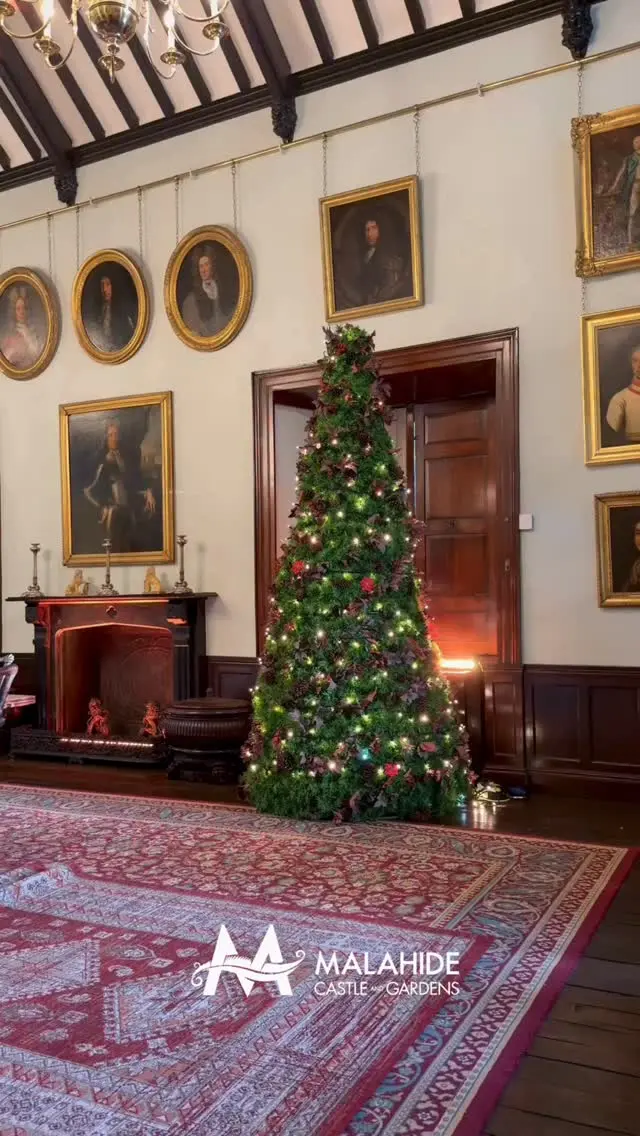 Wishing you all a wonderful Christmas from the team. ✨ We’re wrapping up a great year and can’t wait to see for more history, adventures and more fab things in 2026🫶💫🎄

#MerryChristmas #ChristmasWishes #FestiveSeason #MalahideCastleAndGardens #WinterInDublin