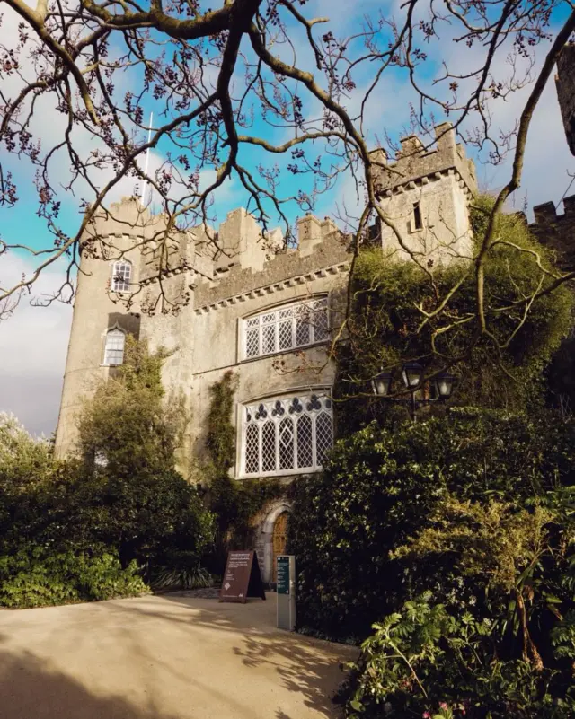 Just popping in to confirm the sky was blue today. Briefly. 🧐😉

#blueskies #irishweather #rareweather #whenithappens #heritageireland #discoverireland #lovindublin #historicplaces #malahidecastle