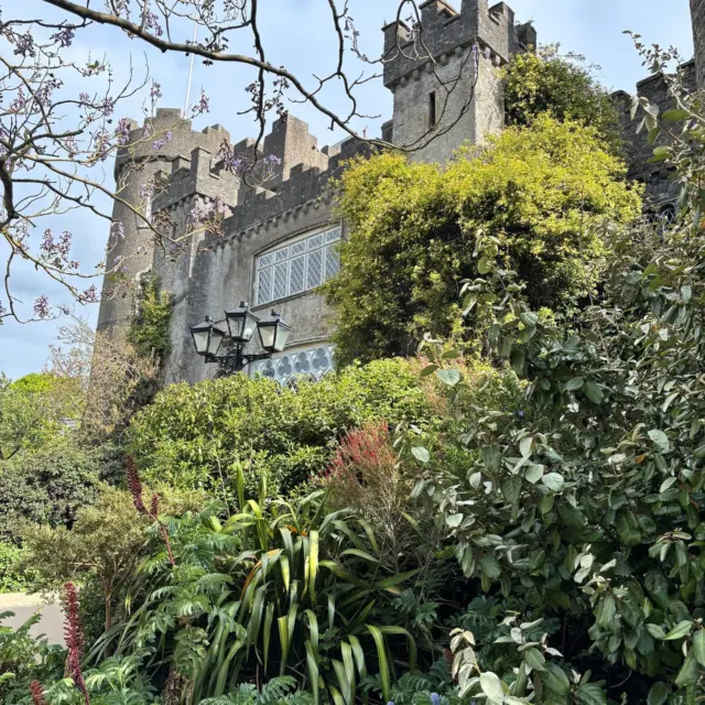 Bank Holiday plans? We’ve got everyone covered at Malahide Castle & Gardens 🏰🌿✨

👧 For the kiddies — magical fairy trails, wide open spaces, playground fun, and unforgettable family adventures.

📖 For the history lovers — centuries of fascinating stories, stunning interiors, and guided tours through one of Ireland’s most iconic castles.

🌸 For the nature lovers — beautiful botanical gardens, peaceful woodland walks, and picture-perfect views around every corner.

📸 For the Instagrammers — dreamy butterfly gardens, castle backdrops, and endless photo opportunities.

❤️ For everyone else — the perfect way to spend the Bank Holiday Weekend with family, friends, or someone special.

See you at Malahide Castle & Gardens this weekend ✨

#MalahideCastle #BankHolidayWeekend #DaysOutIreland #VisitDublin #FamilyFun #ExploreIreland #ExploreFingal