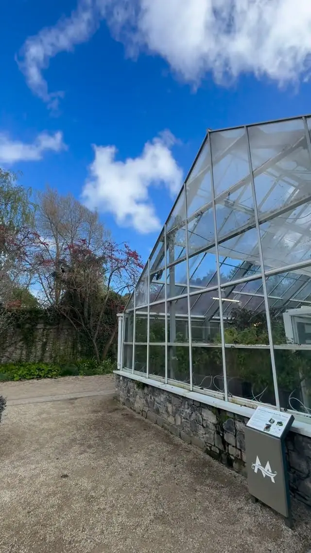 POV: You’re visiting the Butterfly House at Malahide Castle 🦋🏰

#malahidecastle #butterflyhouse #lovemalahide #visitdublin #discoverireland