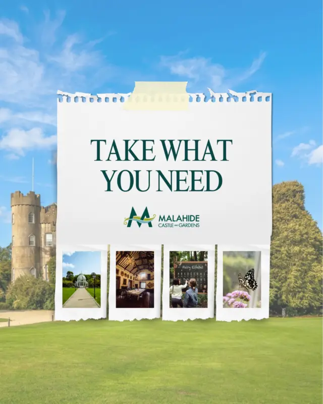 This August Bank Holiday, take what you need 🏰💚

🏰 A Castle Tour
🦋 A visit to the Butterfly House
🧚 A magical walk along the Fairy Trail
🌳 Time to wander through the gardens
☕ Coffee (or lunch!) at Avoca
🍦 An ice cream in the sunshine
🛍️ A little something from the Gift Shop
🫶 Quality time with family and friends

Malahide Castle & Gardens is the perfect place to slow down, unwind, and make lasting memories together.

What will you be taking this Bank Holiday? ✨

#malahidecastle #visitdublin #explorefingal #bankholidayindublin
