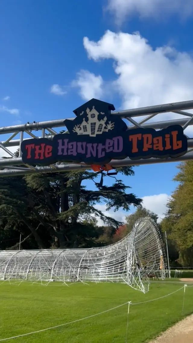 A sneak peak of the Malahide Samhain Festival! 🎃

It’s feeling spooky! 👻

Are you coming? ✨